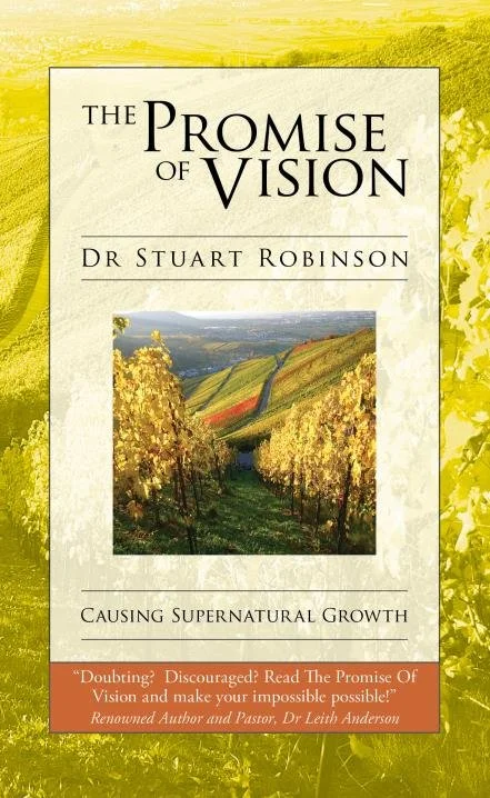 The Promise of Vision book cover